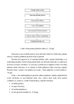 Referāts 'Cilvēkresursu vadības procesa analīze organizācijā SIA "EO"', 10.