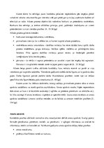 Referāts 'Cilvēkresursu vadības procesa analīze organizācijā SIA "EO"', 11.