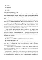 Referāts 'Cilvēkresursu vadības procesa analīze organizācijā SIA "EO"', 12.