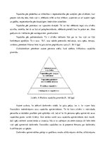 Referāts 'Cilvēkresursu vadības procesa analīze organizācijā SIA "EO"', 14.