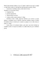 Referāts 'Cilvēkresursu vadības procesa analīze organizācijā SIA "EO"', 17.