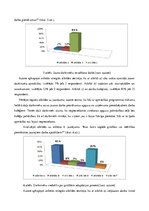 Referāts 'Cilvēkresursu vadības procesa analīze organizācijā SIA "EO"', 21.