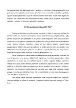 Referāts 'Cilvēkresursu vadības procesa analīze organizācijā SIA "EO"', 23.