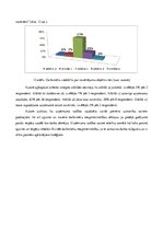 Referāts 'Cilvēkresursu vadības procesa analīze organizācijā SIA "EO"', 28.