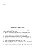 Referāts 'Cilvēkresursu vadības procesa analīze organizācijā SIA "EO"', 32.