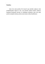 Diplomdarbs 'Gaļas pārstrādes tirgus Latvijā', 251.