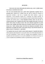 Referāts 'Augstākās tiesas struktūra un kompetence', 17.