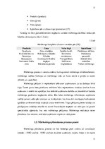 Referāts 'Uzņēmuma SIA "Pilsētas līnijas" konkurētspējas analīze Latvijas tirgū', 11.