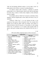 Referāts 'Uzņēmuma SIA "Pilsētas līnijas" konkurētspējas analīze Latvijas tirgū', 26.