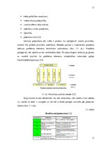 Referāts 'Uzņēmuma SIA "Pilsētas līnijas" konkurētspējas analīze Latvijas tirgū', 33.