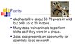 Prezentācija 'Keeping Wild Animals in Zoos', 10.
