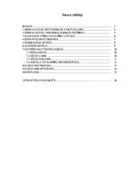 Referāts 'Ziemas rudzu audzēšanas tehnoloģija, produktivitāte un izmantošana', 1.