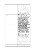 Referāts 'Ziemas rudzu audzēšanas tehnoloģija, produktivitāte un izmantošana', 18.