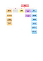 Referāts 'SIA "Smart Choice" pieteikums Latvijas kvalitātes balvas izcīņai', 5.