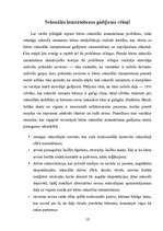 Referāts 'Bērnu seksuālā izmantošana', 8.