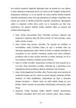 Referāts 'Bērnu seksuālā izmantošana', 12.