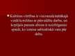 Prezentācija 'Teodors Ludvigs Vīzengrunda Adorno "Apgaismības Dialektika"', 20.