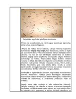 Konspekts 'Senlatvija', 7.