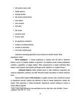 Diplomdarbs 'Jaunāko bankas finanšu pakalpojumu piedāvājumi Latvijas komercbankās', 20.