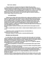 Eseja 'Biznesa darbība - granulas', 1.
