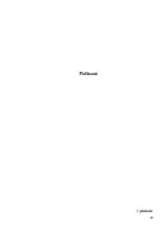 Diplomdarbs 'Sabiedrības izpratne par garīgo veselību', 43.