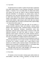 Diplomdarbs 'Organizācijas kultūra Valsts aģentūrā "Jaunatnes starptautisko programmu aģentūr', 17.