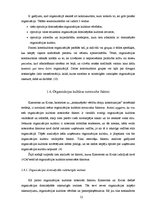 Diplomdarbs 'Organizācijas kultūra Valsts aģentūrā "Jaunatnes starptautisko programmu aģentūr', 21.