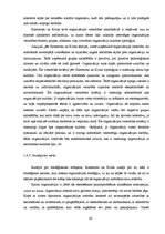 Diplomdarbs 'Organizācijas kultūra Valsts aģentūrā "Jaunatnes starptautisko programmu aģentūr', 29.