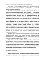 Diplomdarbs 'Organizācijas kultūra Valsts aģentūrā "Jaunatnes starptautisko programmu aģentūr', 51.