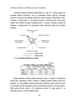 Diplomdarbs 'Organizācijas kultūra Valsts aģentūrā "Jaunatnes starptautisko programmu aģentūr', 60.