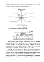 Diplomdarbs 'Organizācijas kultūra Valsts aģentūrā "Jaunatnes starptautisko programmu aģentūr', 63.