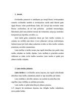 Referāts 'Lietu tiesības', 2.