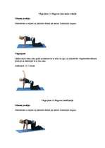 Referāts 'Mugura', 14.