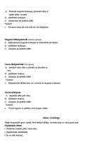 Referāts 'Mugura', 18.