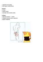 Referāts 'Mugura', 19.