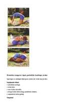 Referāts 'Mugura', 21.