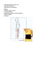 Referāts 'Mugura', 22.