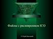 Referāts 'Файлы с расширением ICO', 1.