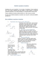 Konspekts 'Atsildošo vingrinājumu komplekss', 1.