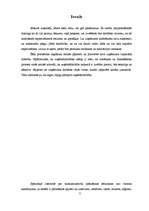 Referāts 'Plānošanas būtība uzņēmējdarbībā', 2.