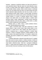 Referāts 'Plānošanas būtība uzņēmējdarbībā', 5.