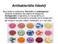Prezentācija 'Antibiotiku izvēle grūtniecības laikā', 5.