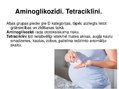 Prezentācija 'Antibiotiku izvēle grūtniecības laikā', 8.