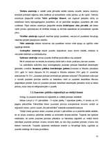 Referāts 'Ieskats jaunatnes politikas veidošanas procesā Latvijā', 20.