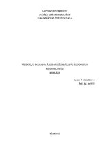 Referāts 'Viedokļu paušana ārzemju žurnālistu blogos un mikroblogos', 1.