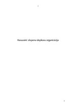 Referāts 'Hassasini', 1.
