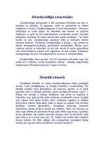 Referāts 'Zirnekļveidīgie', 1.