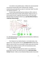 Referāts 'Aberācija', 3.