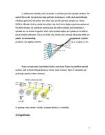 Referāts 'Aberācija', 5.