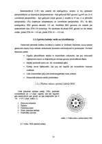 Referāts 'Šķiedru optiskā pārraides tīkla attīstība Latvijā', 18.